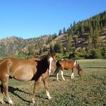 Eagle Creek Ranch