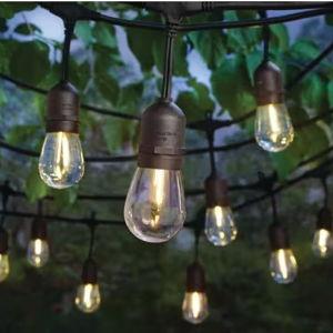 Cafe Lights
