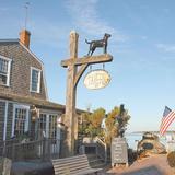 The Black Dog Tavern