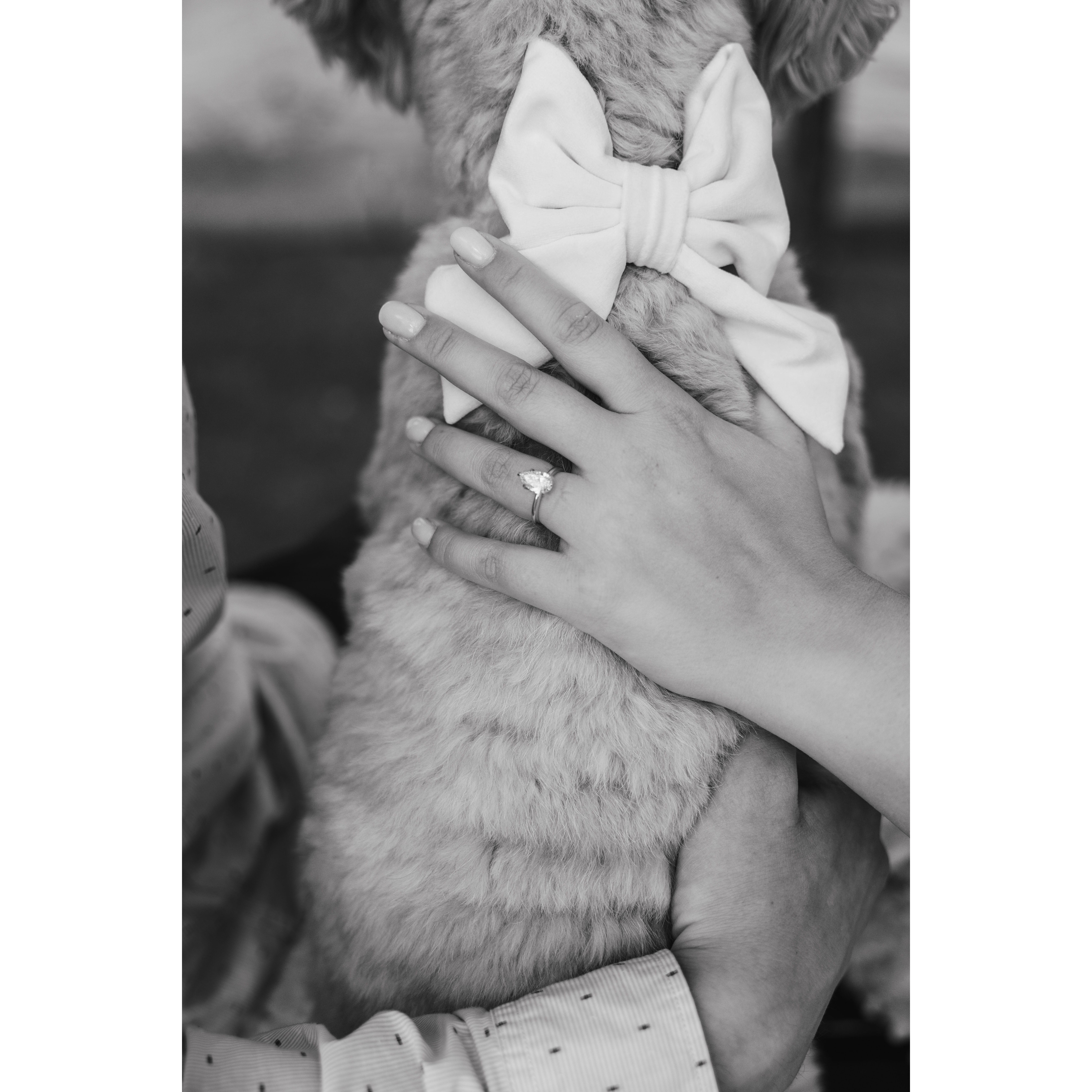 Poppy says "I do" too!