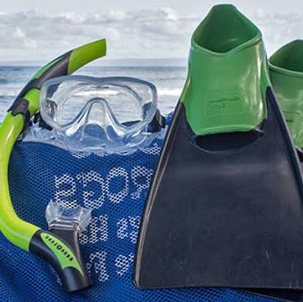 Beach Day Essentials
