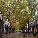 Pioneer Square