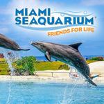 Miami Seaquarium