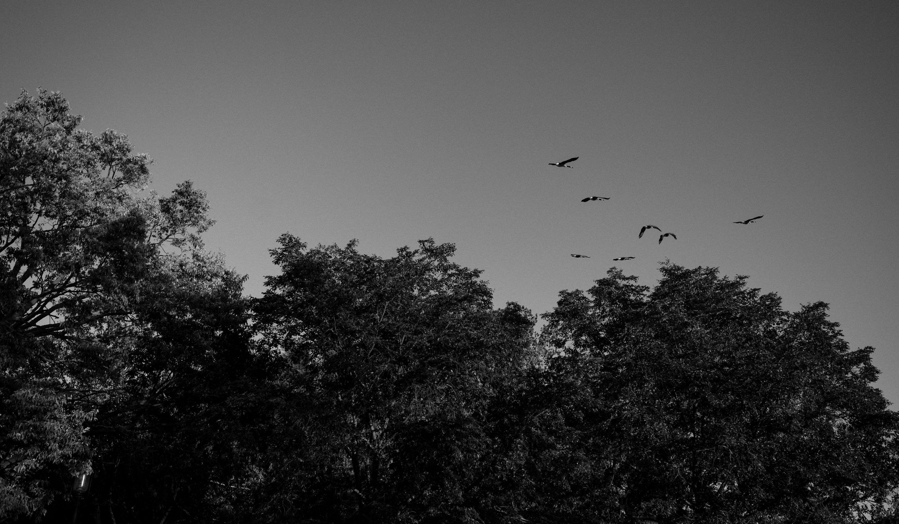 Hero Slideshow Image 2