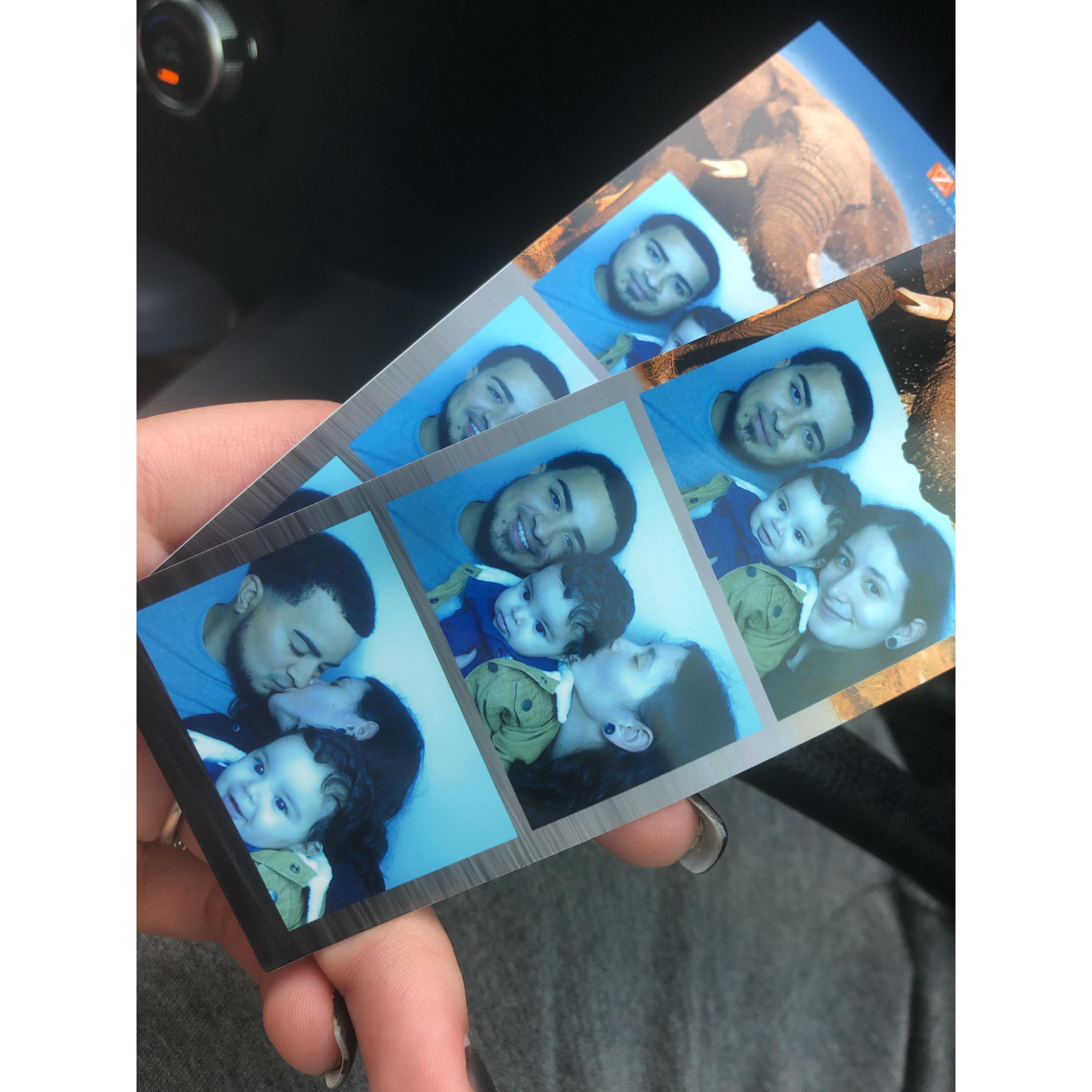 First family trip to the Zoo