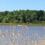 William L Finley National Wildlife Refuge