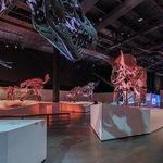 Houston Museum of Natural Science