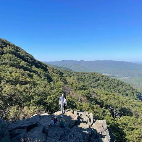 This view + the Furloughs <3