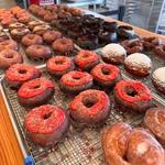 Curiosity Doughnuts