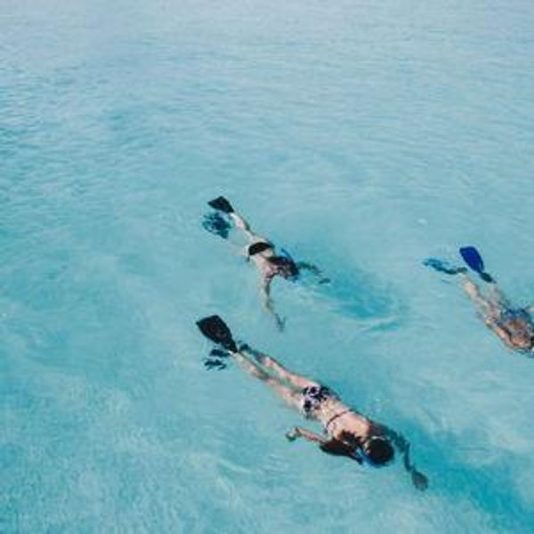 Snorkeling On Our Honeymoon (Venmo, No Fee)