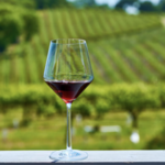 Sip Away the Afternoon at a Winery