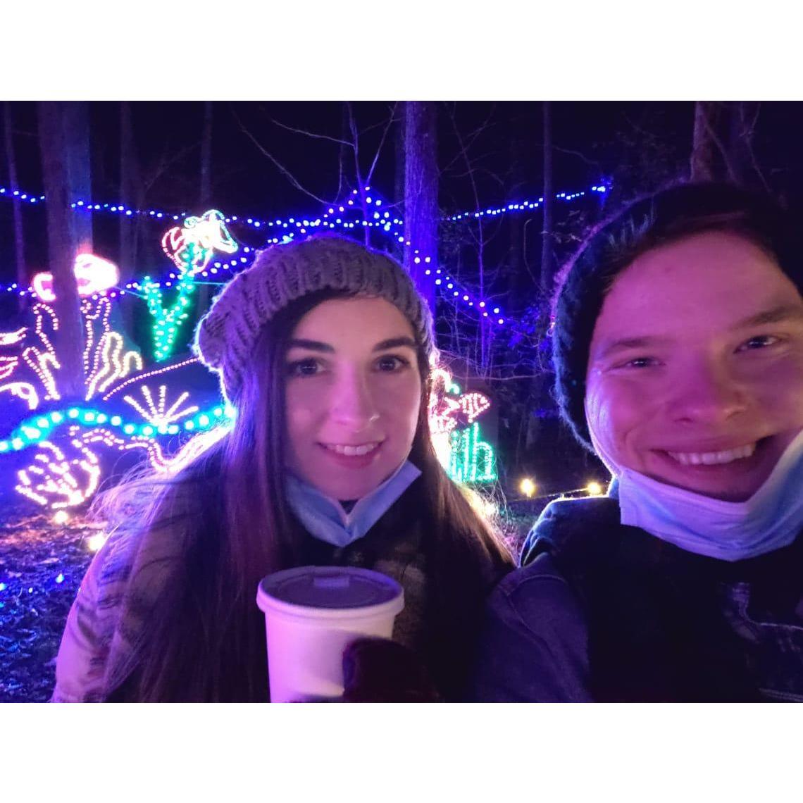 Christmas Lightshow