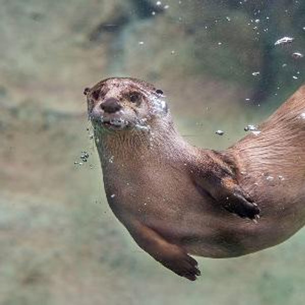 Milwaukee County Zoo Membership