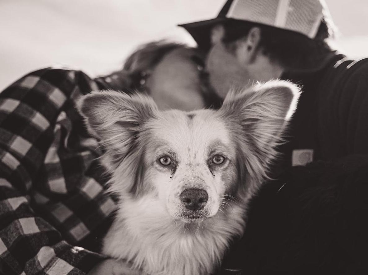 The Wedding Website of Shaylyn Huelle and Tristan Stark