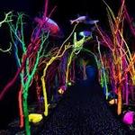Meow Wolf Santa Fe