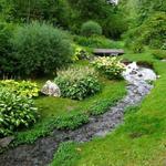 Finch Arboretum Woodland Center