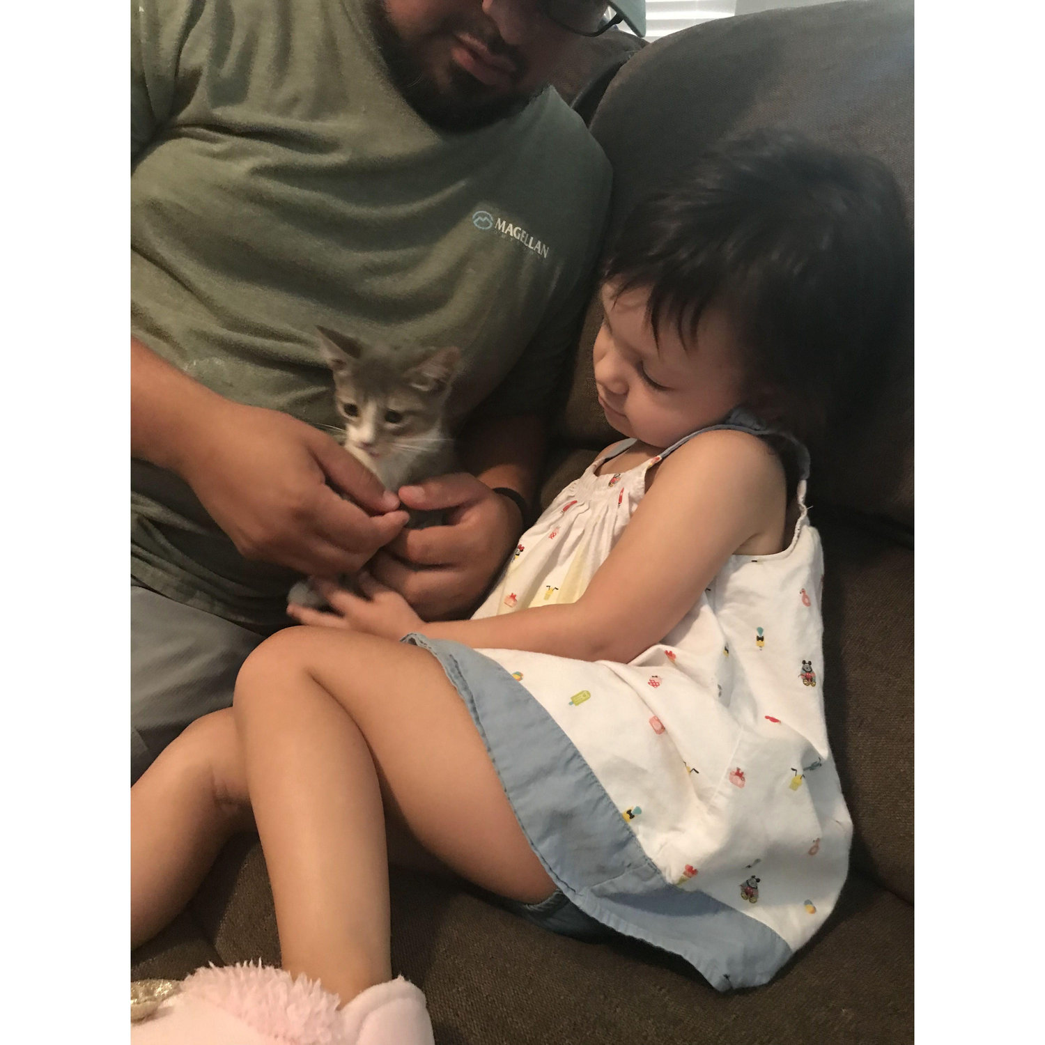Our first cat, Frozen. July 2022