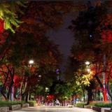 Chapultepec Street