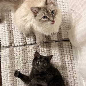 Stormy & Cloud Fund