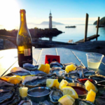 Taylor Shellfish Farms