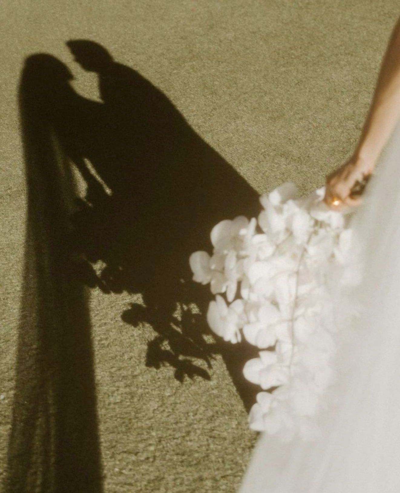 The Wedding Website of Shannon White and Andrew Lewandowski