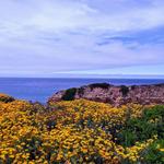 Wilder Ranch State Park