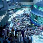 The National Aquarium