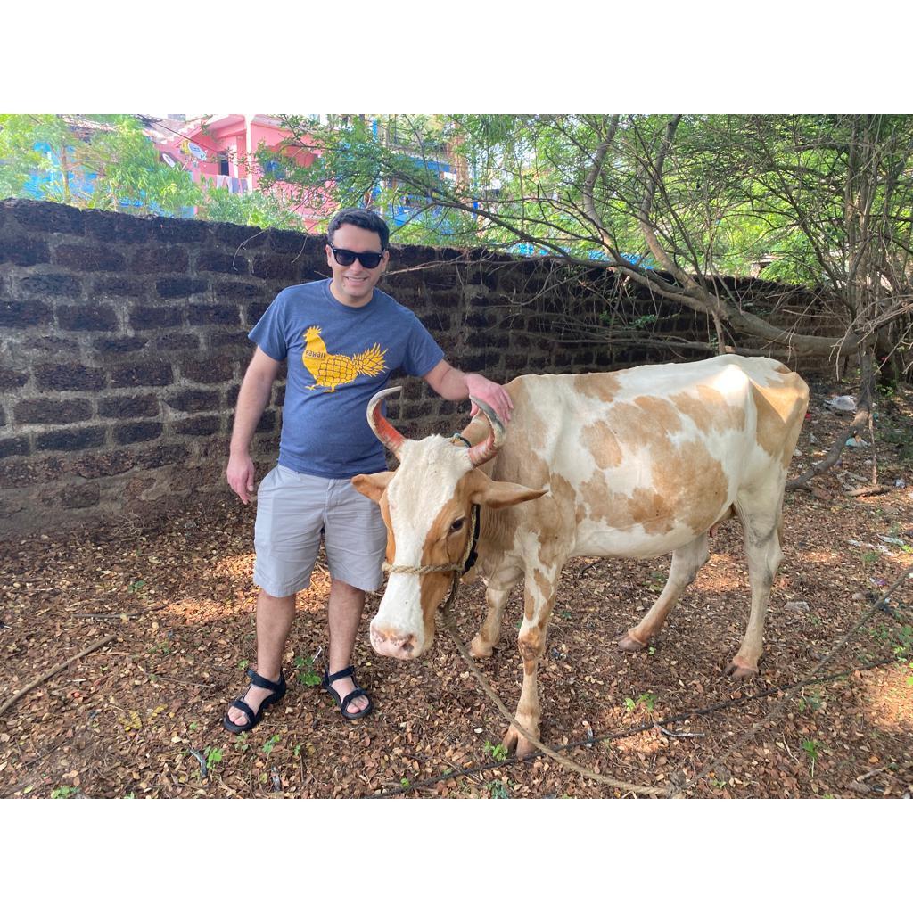 Moo in Goa