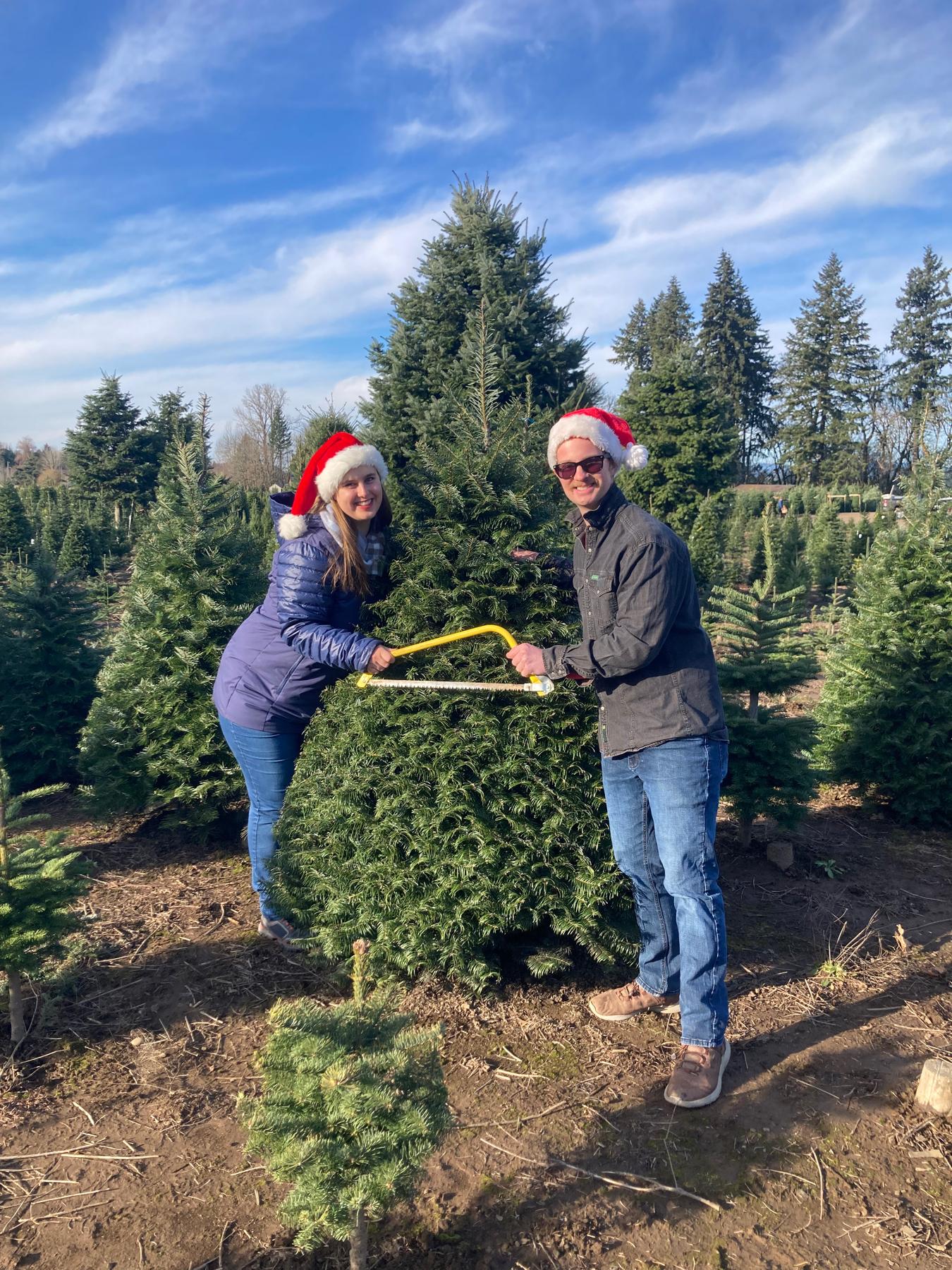 First Christmas tree adventure!