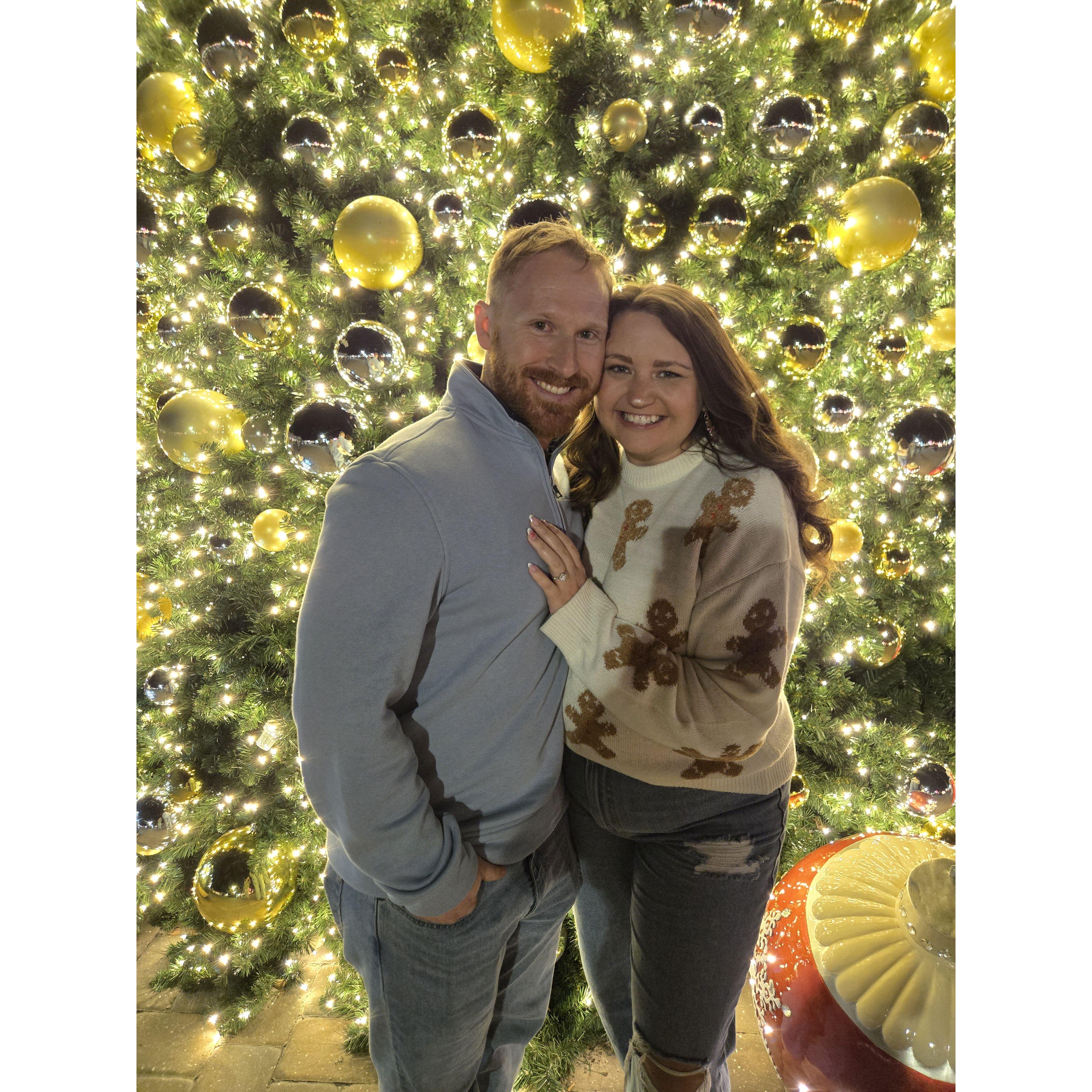 Christmas Lights at the World Equestrian Center in Ocala!