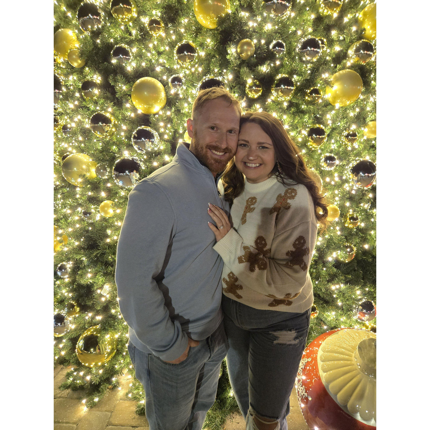 Christmas Lights at the World Equestrian Center in Ocala!