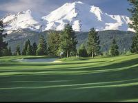 Mount Shasta Golf Resort