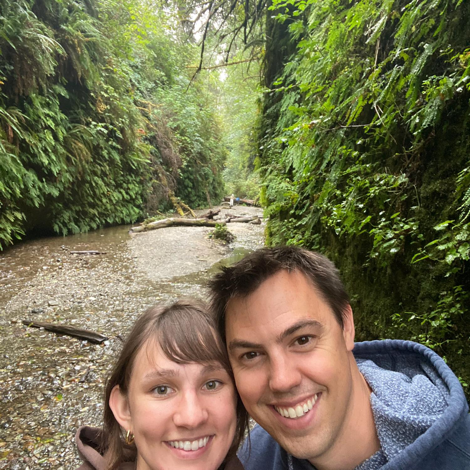 Fern Canyon near the Redwoods.