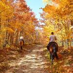 Circle B Ranch Horseback Riding