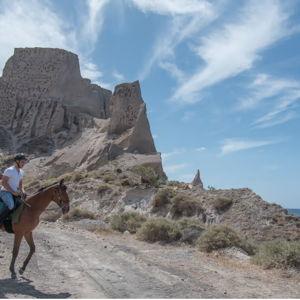 Horseback Riding on the Beach (Credit Card)