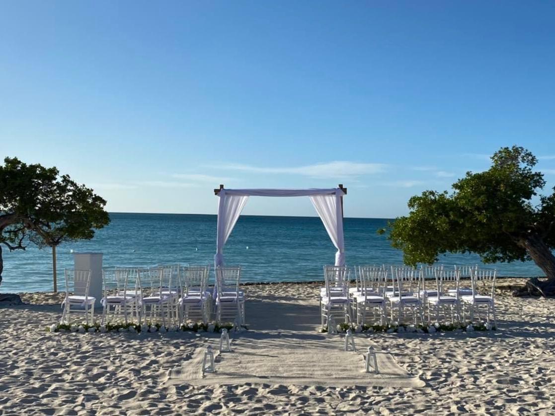 The Wedding Website of Lanett Ventura and Kevin Mcdougal