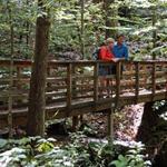 Hiking Trails
