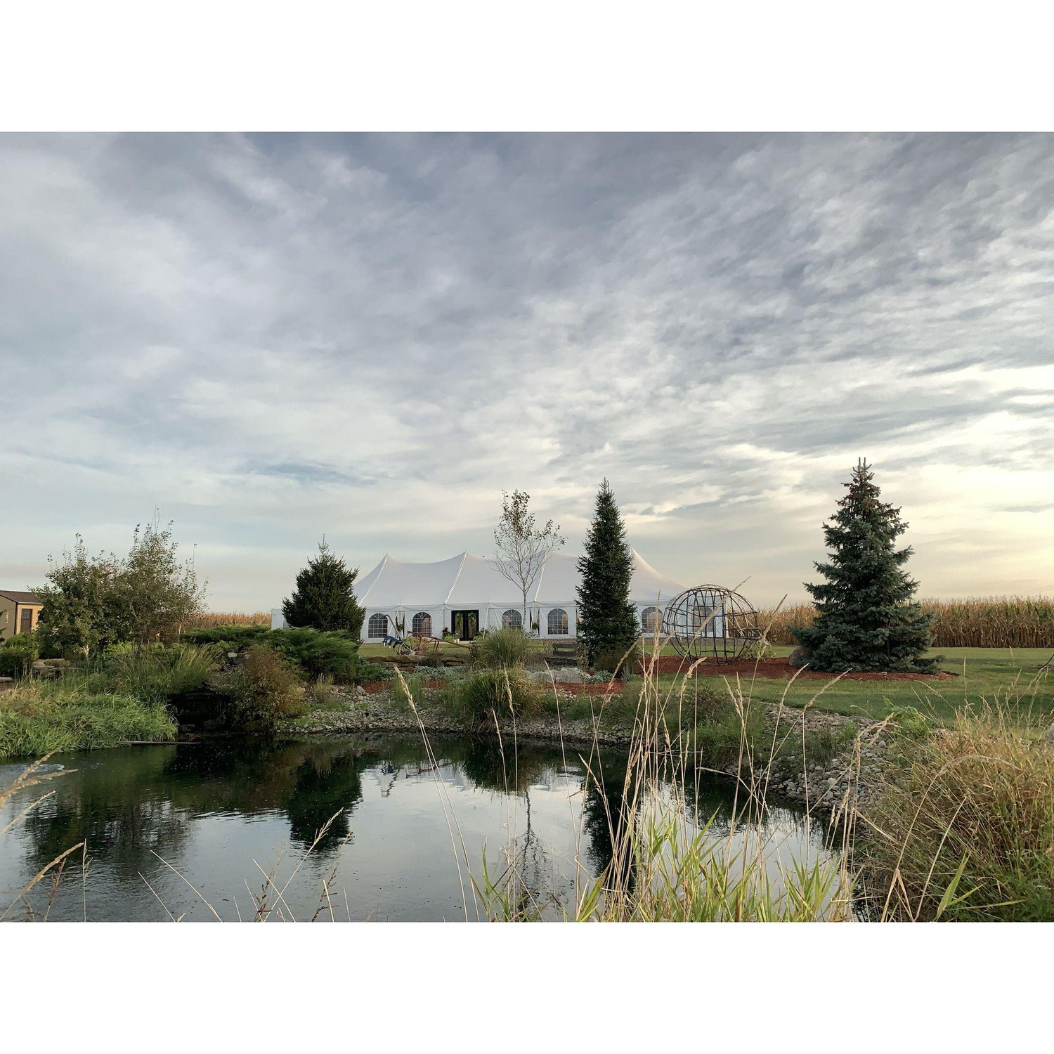 Pond