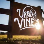 Urban Vines Winery & Brewery