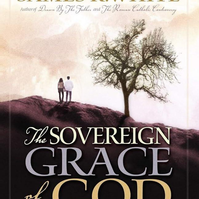 The Sovereign Grace of God: A Biblical Study of the Doctrines of Calvinism (Reformation Press Edition)