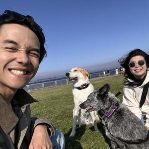 The Dogs' Next Adventure