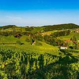 Styria Wine Country