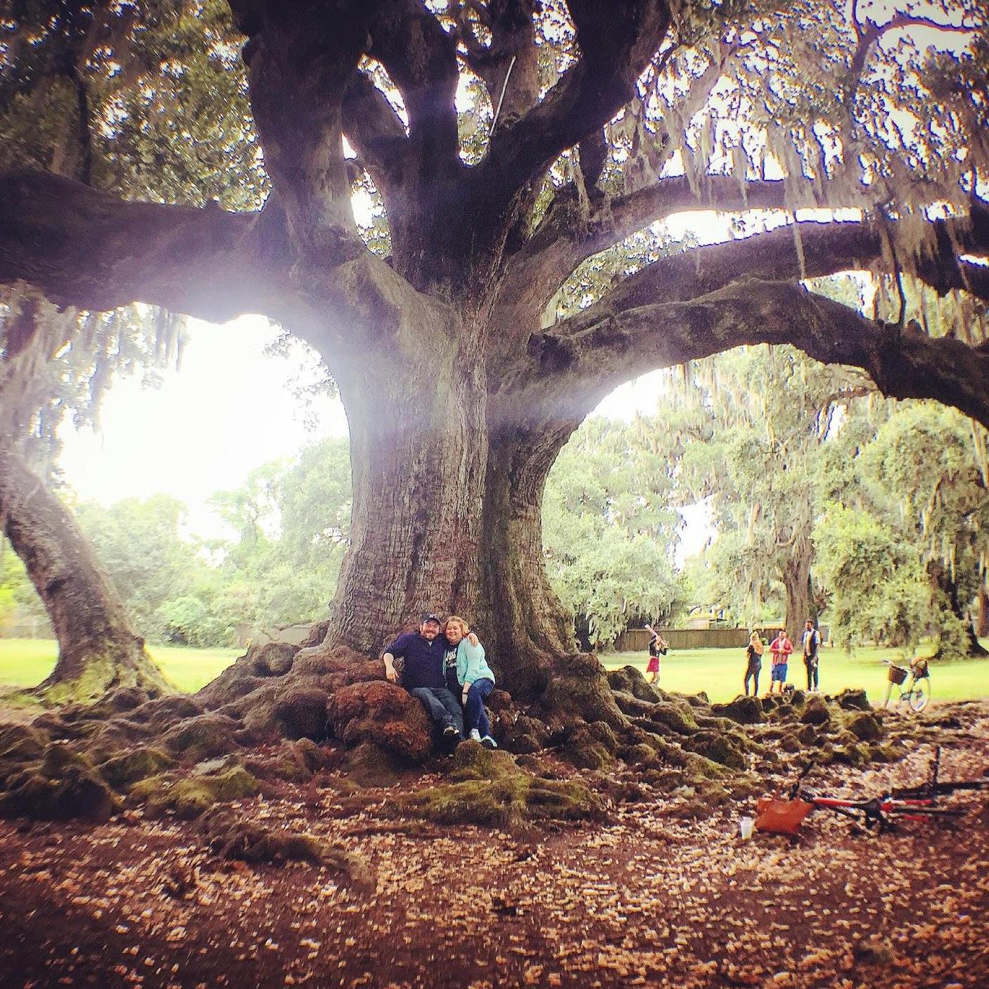This was taken the first time we visited the Tree of Life in 2015.