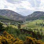 Cairgorns National Park