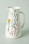 Dagny Pitcher