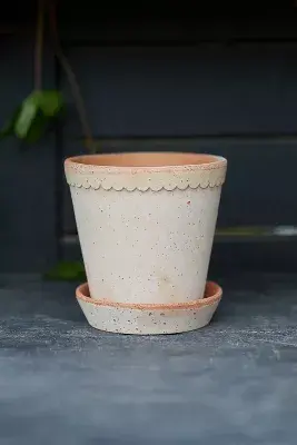 Bergs Helena Terracotta Pot + Saucer Set