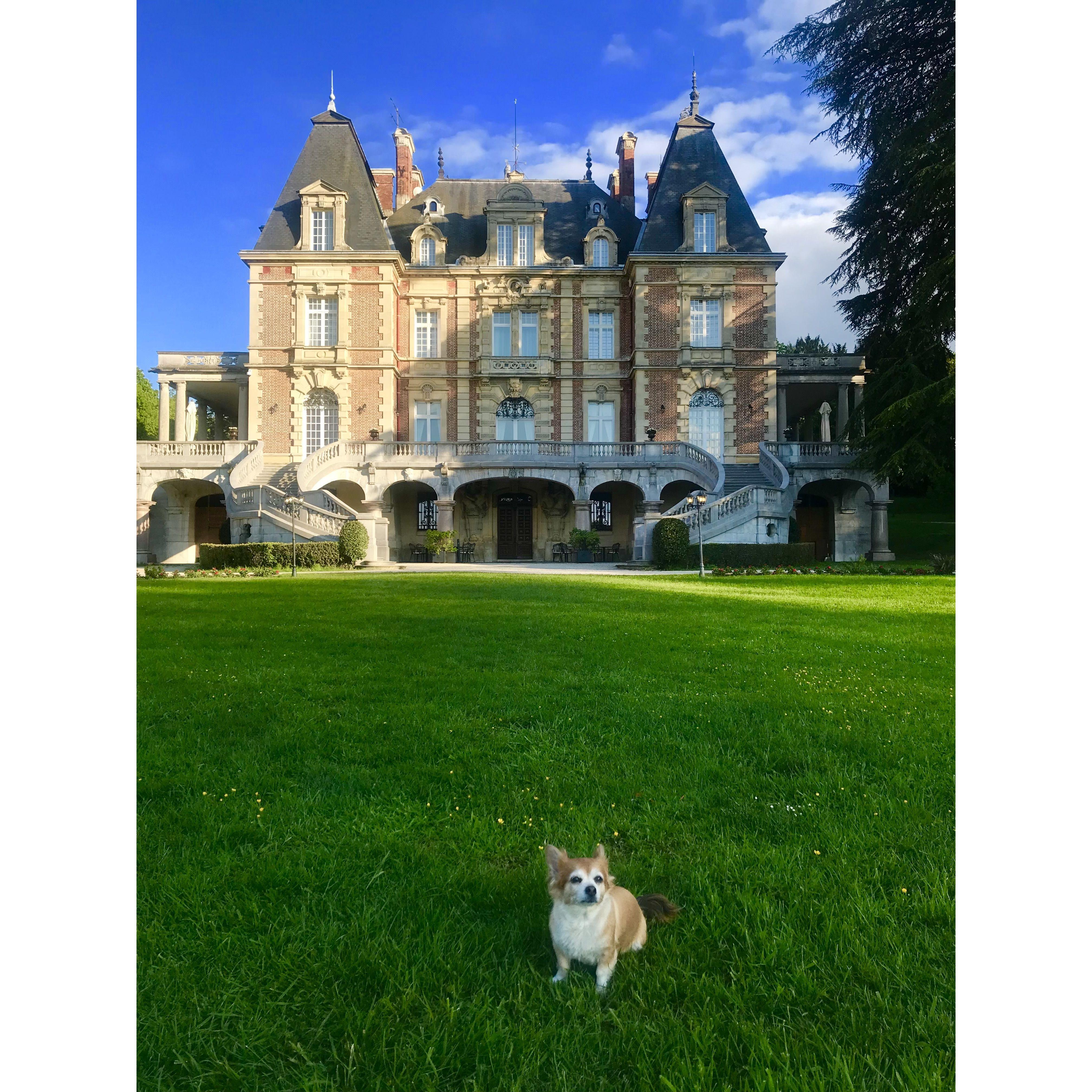 Natalie's belated pet, Camilia at Château Bouffémont.