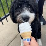 Jimmie Cone