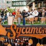 Sycamore