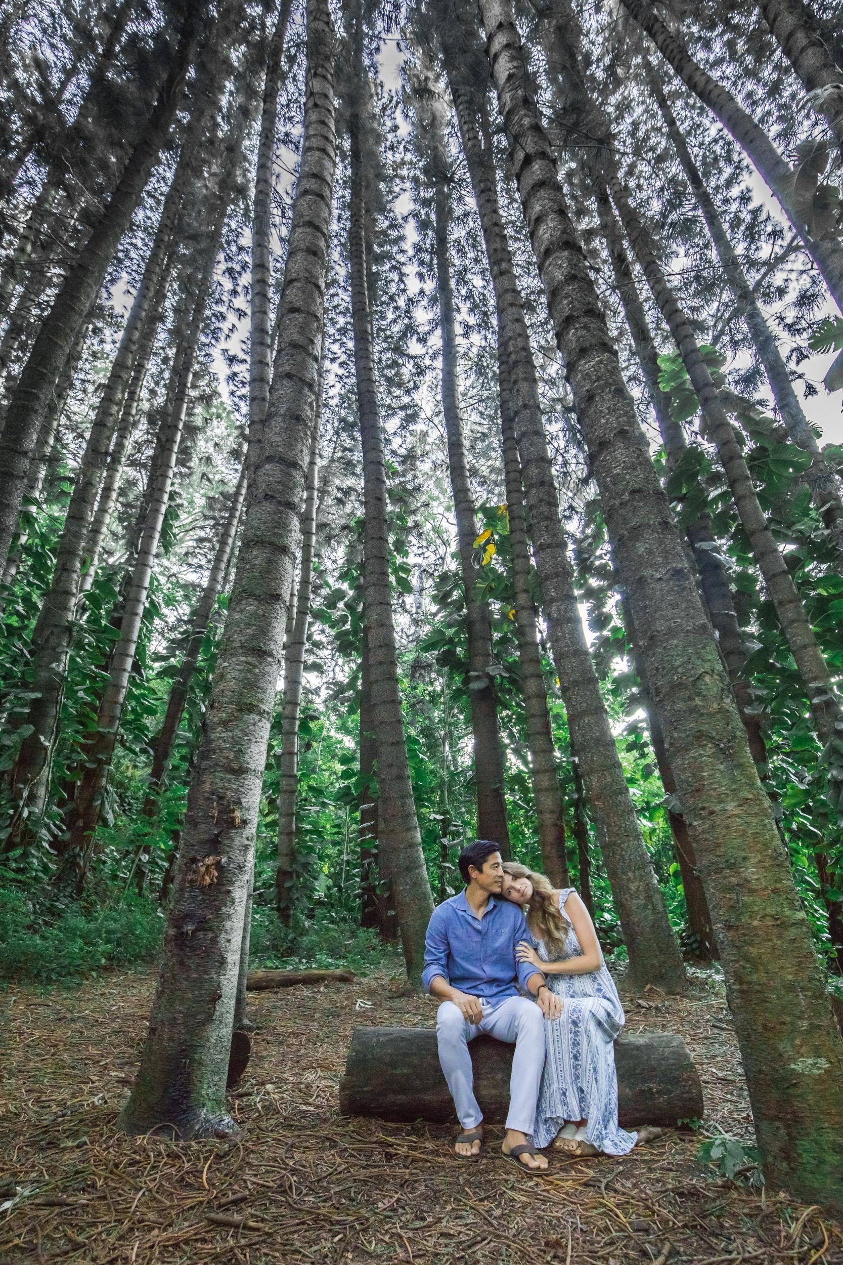 The Wedding Website of Tessa Goodwin and James Chan